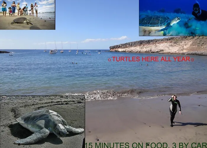 公寓 Sun 帕莱索海滩